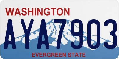 WA license plate AYA7903