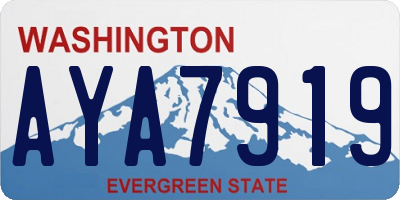 WA license plate AYA7919