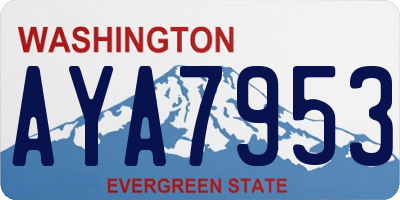 WA license plate AYA7953