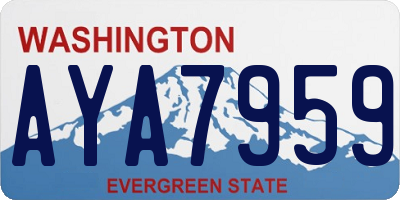 WA license plate AYA7959
