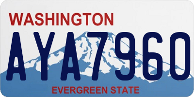 WA license plate AYA7960
