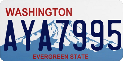 WA license plate AYA7995