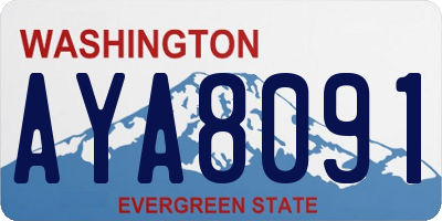WA license plate AYA8091