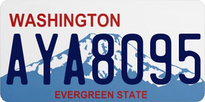 WA license plate AYA8095