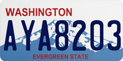 WA license plate AYA8203
