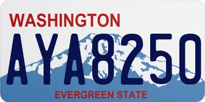 WA license plate AYA8250