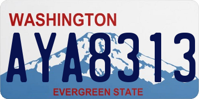 WA license plate AYA8313