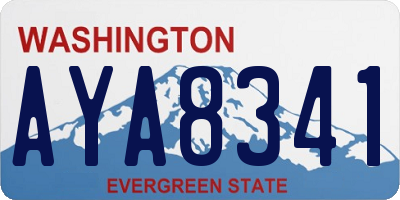 WA license plate AYA8341
