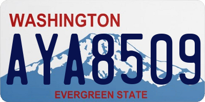 WA license plate AYA8509