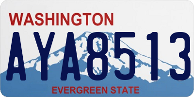 WA license plate AYA8513