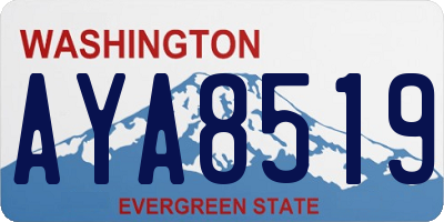 WA license plate AYA8519