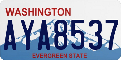WA license plate AYA8537
