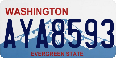 WA license plate AYA8593