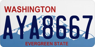 WA license plate AYA8667