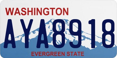 WA license plate AYA8918