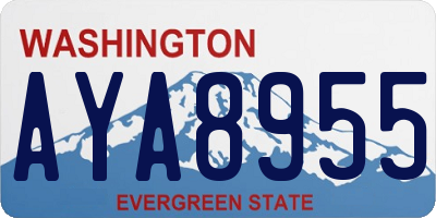 WA license plate AYA8955