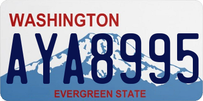 WA license plate AYA8995
