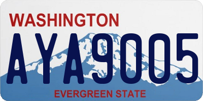 WA license plate AYA9005