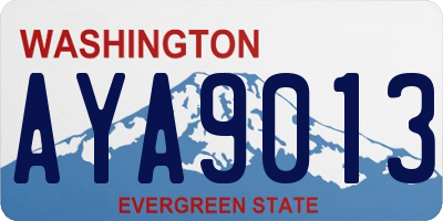 WA license plate AYA9013