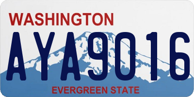 WA license plate AYA9016