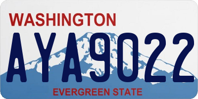 WA license plate AYA9022