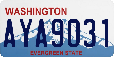 WA license plate AYA9031