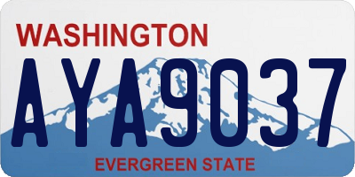 WA license plate AYA9037