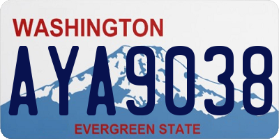 WA license plate AYA9038