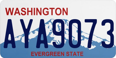 WA license plate AYA9073