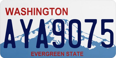 WA license plate AYA9075