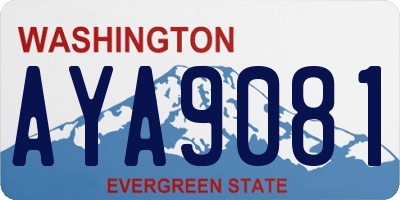 WA license plate AYA9081