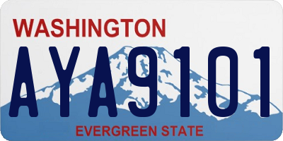 WA license plate AYA9101