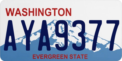 WA license plate AYA9377