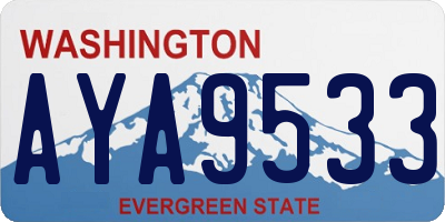 WA license plate AYA9533