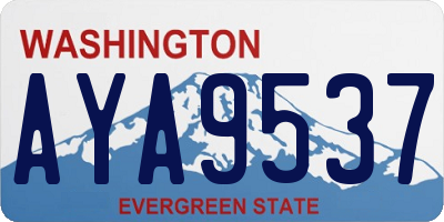 WA license plate AYA9537