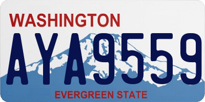 WA license plate AYA9559