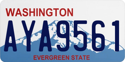 WA license plate AYA9561