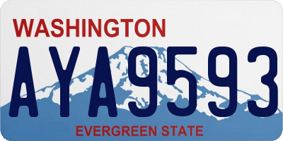 WA license plate AYA9593