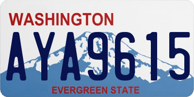 WA license plate AYA9615