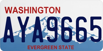 WA license plate AYA9665