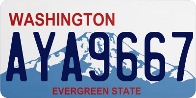 WA license plate AYA9667