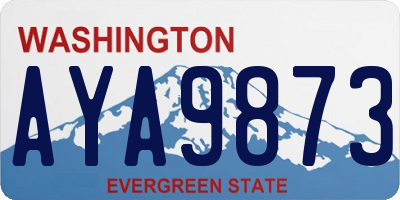WA license plate AYA9873