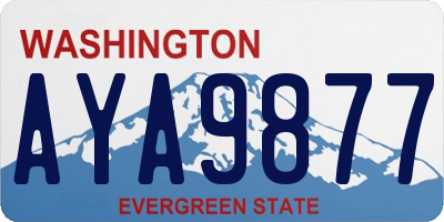 WA license plate AYA9877