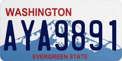 WA license plate AYA9891