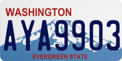 WA license plate AYA9903