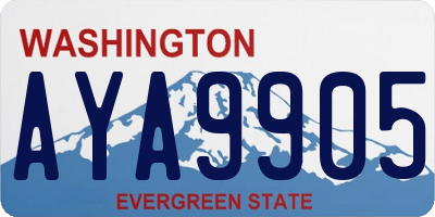 WA license plate AYA9905