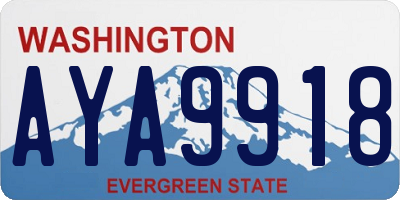 WA license plate AYA9918