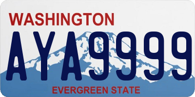 WA license plate AYA9999