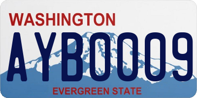WA license plate AYB0009