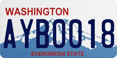 WA license plate AYB0018